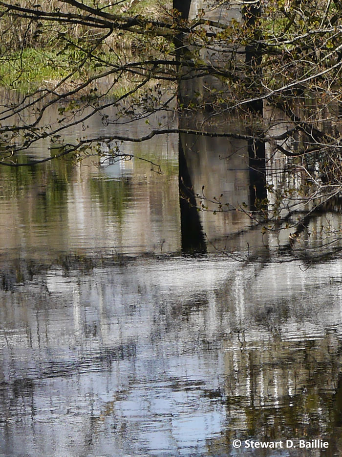 Mill water reflections (© Stewart Baillie)